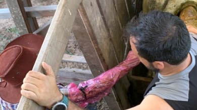 Práctica Profesional en Estancia La Carmen