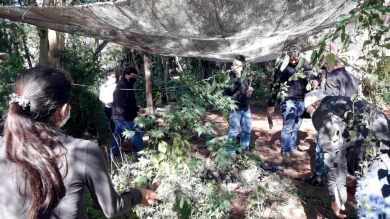 Actividad Práctica en el IPTA