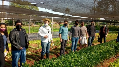Actividad Práctica de Horticultura en Itá