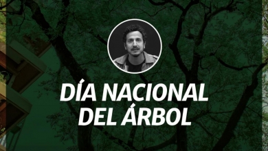 Día nacional del árbol: Arborización urbana