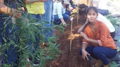 Remisión de suelo y agregado de materia orgánica.