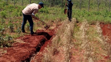 Técnicas de plantación