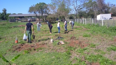 Practica de la materia de Horticultura