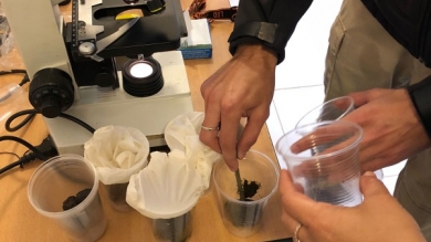 Desarrollo de Zoología