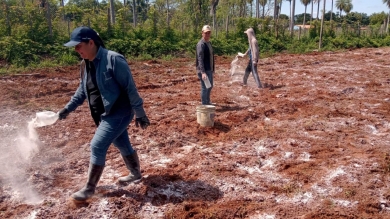 Aplicación de cal agrícola