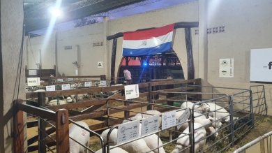 Centro De Remates Ferusa