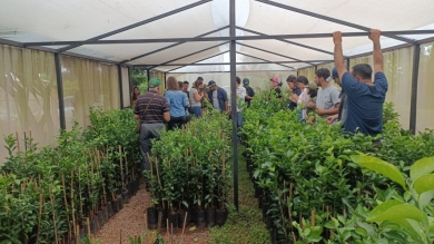 Finca De Productor De Caacupe