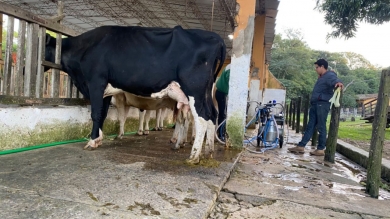 Visita al cerrito