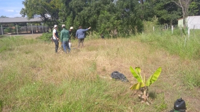 Desarrollo de la materia de Fruticultura