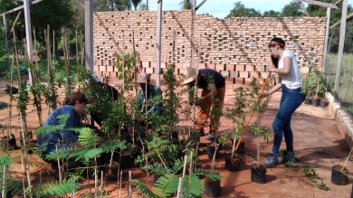 Extensión y Sociología Rural