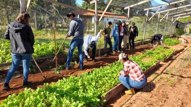 Eco Fisiología de Malezas