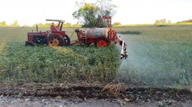 Trociuk en Itapúa – Coop. Colonias Unidas