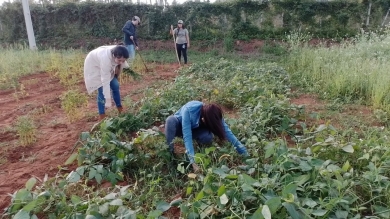 Acondicionamiento de parcelas