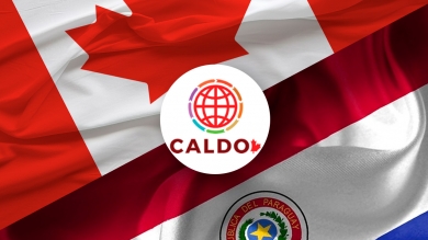 Consorcio CALDO visita la Universidad Columbia