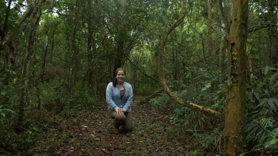 Descubriendo una pasión