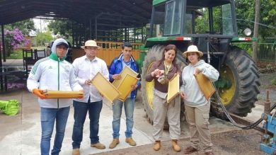 Manejo de Colmenas para una Pronta Cosecha - Agronomía Columbia