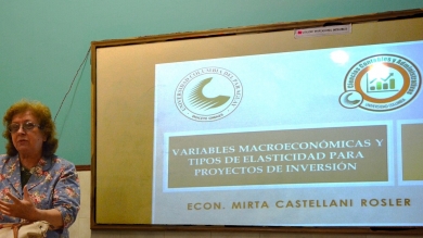Taller sobre Variables Macroeconómicas y Tipos de Elasticidad para Proyectos de Inversión