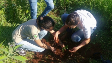 Trabajo de Campo en IPTA San Lorenzo