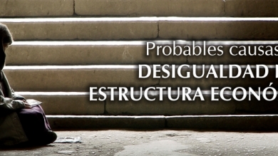 Probables causas de la desigualdad en la estructura económica