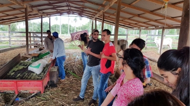 Prácticas de Agronomía en el Rancho Corderito