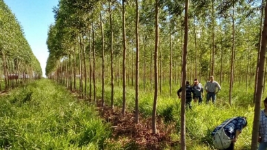 Trabajo de Campo en Escuela Técnica Agropecuaria San Francisco de Asis