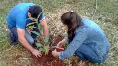 Práctica Profesional en Manejo de Suelos