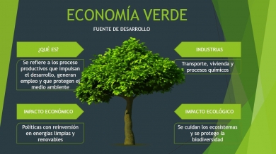 ¿Es factible la Economía Verde?