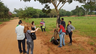 Práctica Profesional de Agronomía