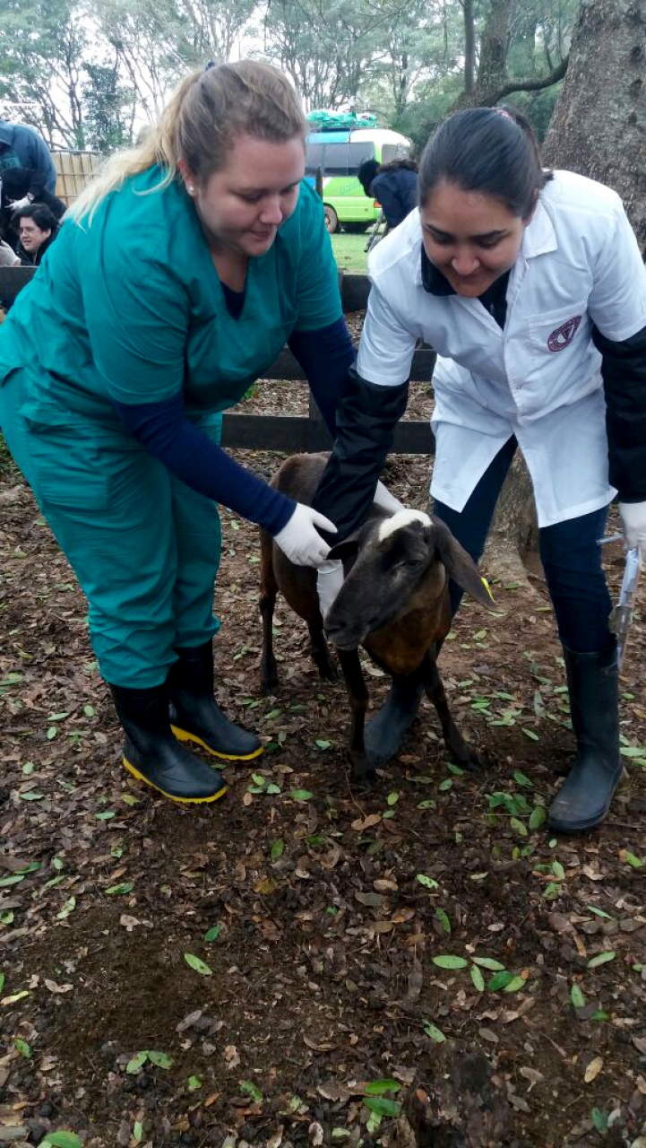 Visita a Ganadera &quot;San Feli&quot;, Caazapá