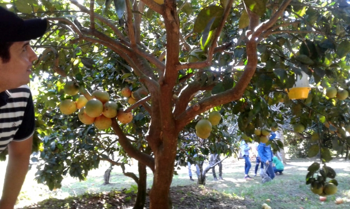 Actividad de Extensión en Caacupé