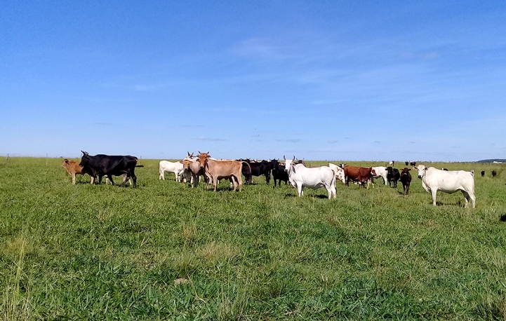 Salida de Campo hecha en Santa Rosa de Lima, Misiones