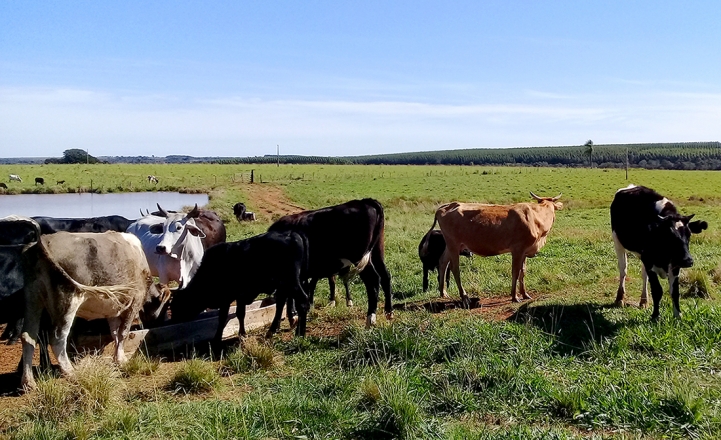 Salida de Campo hecha en Santa Rosa de Lima, Misiones