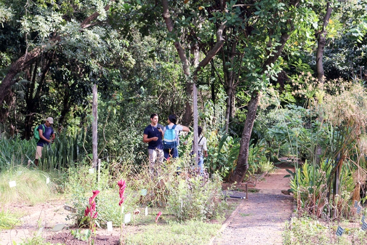 Visita guiada al Jardín Botánico