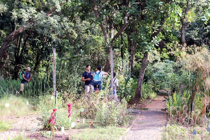 Visita guiada al Jardín Botánico