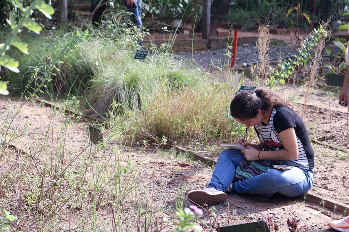 Visita guiada al Jardín Botánico