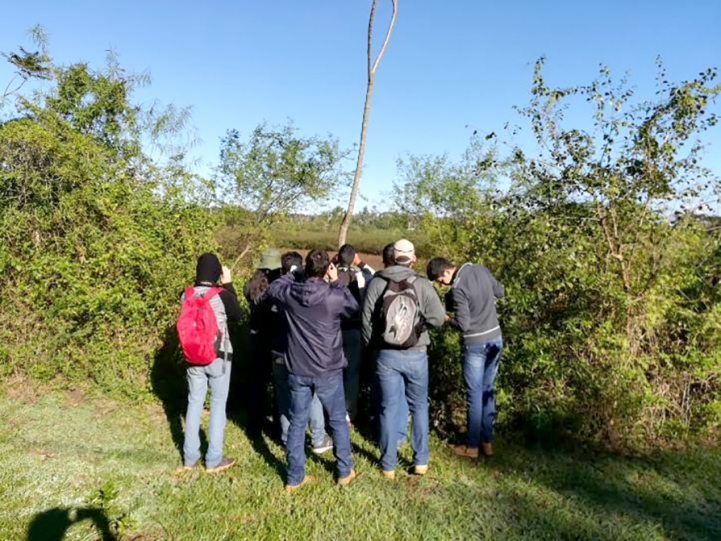 Actividad Práctica en el Parque Guasu