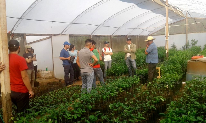 Trabajo de Campo en Caacupé