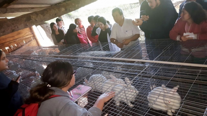 Actividad Práctica en Granja Cunícola