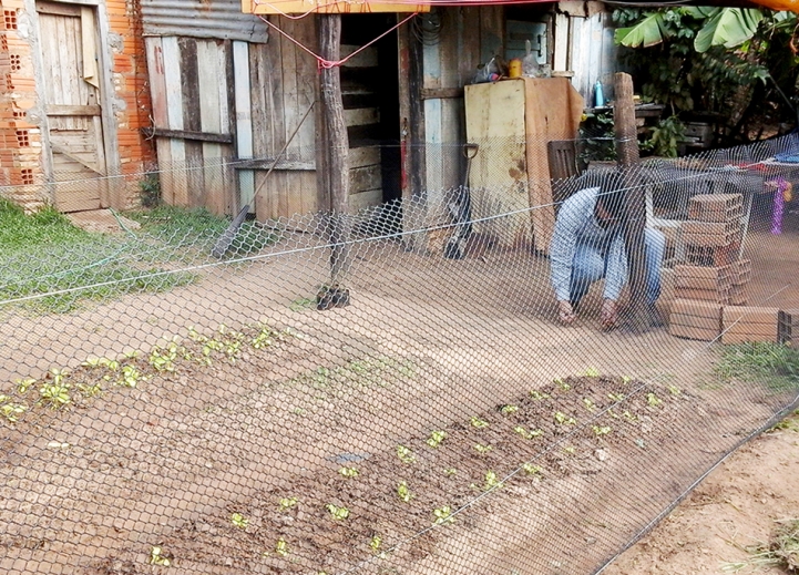 Actividad de Agronomía con Impacto Social 