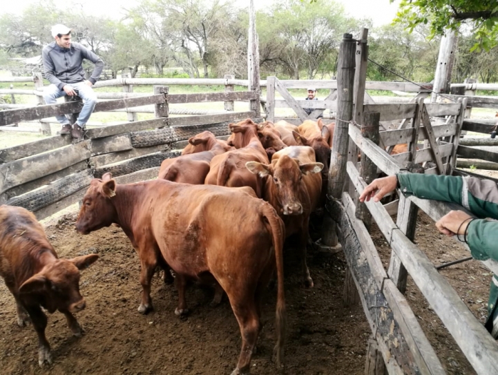 Salida de Campo hecha en Presidente Hayes, Chaco