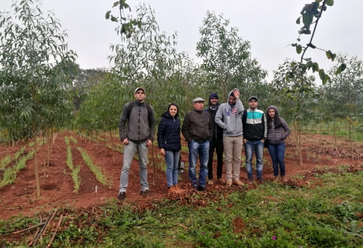 Actividad Práctica en el IPTA