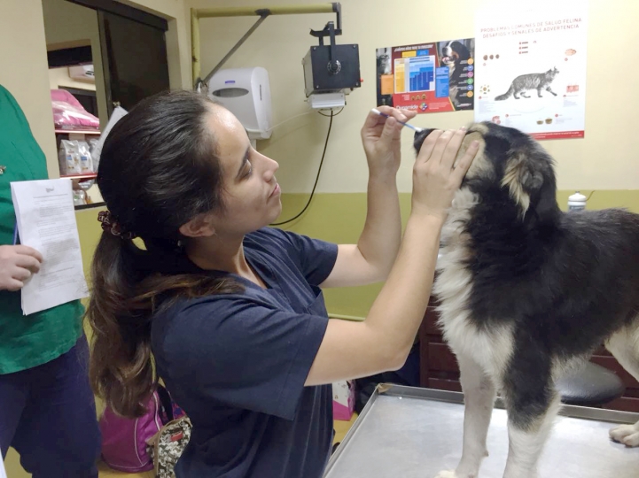 Actividad Práctica de Alumnos de Veterinaria