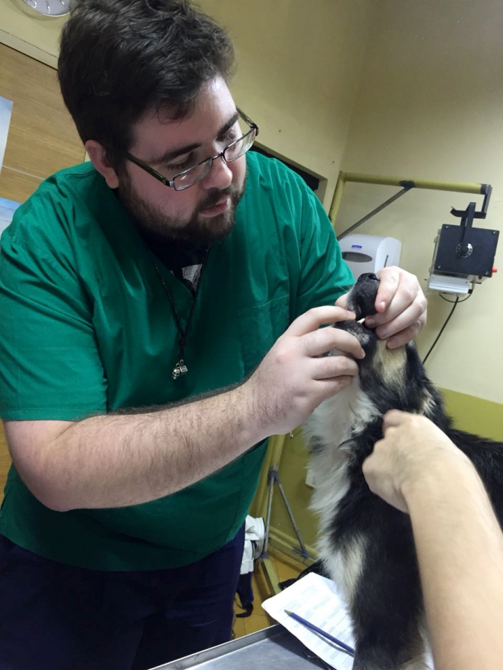 Actividad Práctica de Alumnos de Veterinaria