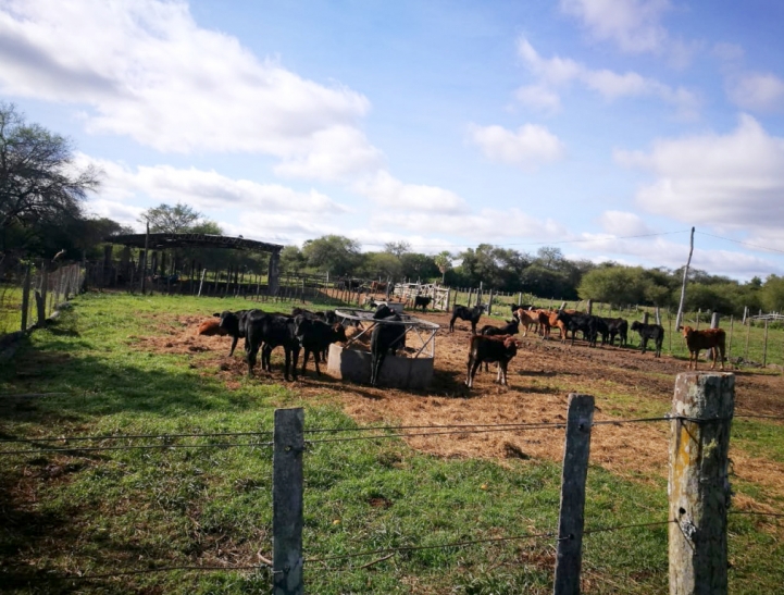 Salida de campo a la Estancia &quot;La Nuria&quot;