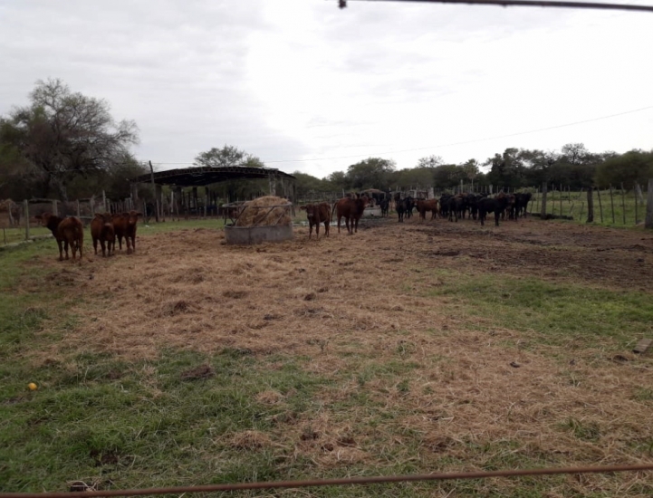 Salida de campo a la Estancia &quot;La Nuria&quot;