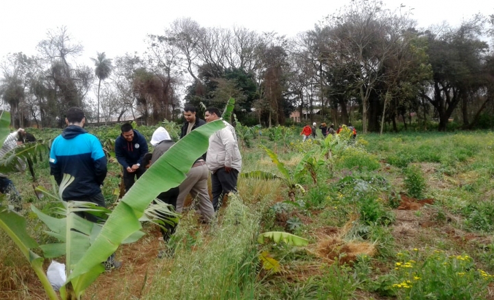 Actividades Prácticas en el IPTA