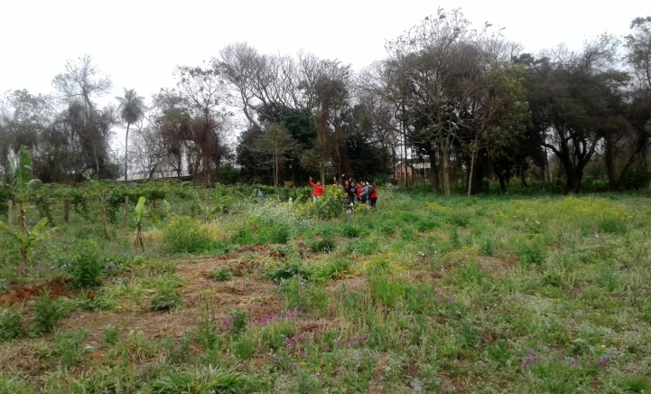 Actividades Prácticas en el IPTA