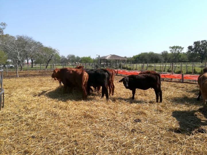 Visita a la Cabaña &quot;Celia María&quot;