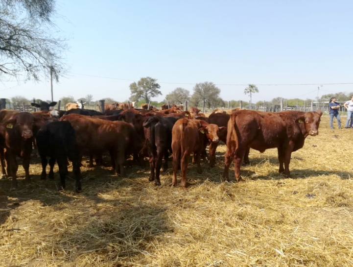 Visita a la Cabaña &quot;Celia María&quot;