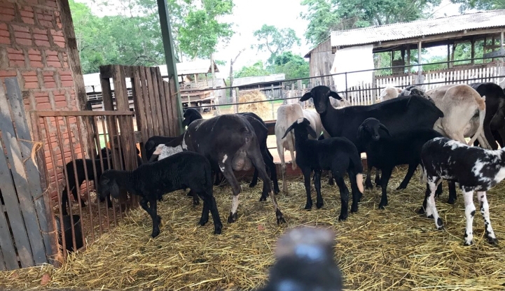 Actividad Práctica en Luque